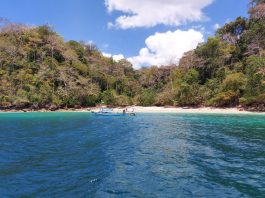 Pantai Teluk Biru, Surga Tersembunyi di Banyuwangi untuk Pencinta Snorkeling