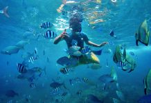 Liburan ke Banyuwangi, Rugi Tak Mampir Snorkeling di Pantai Bangsring