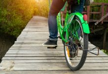 Rekomendasi Rute Gowes di PIK, Keliling Hutan Bakau dan Lewati Pantai