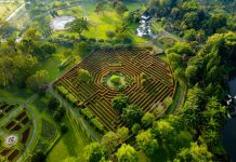 Seru-seruan ala Film “The Maze Runner” di Labirin Taman Bunga Nusantara
