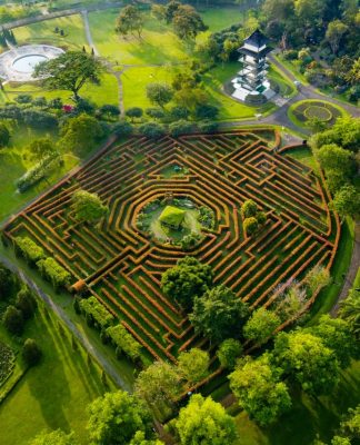 Seru-seruan ala Film “The Maze Runner” di Labirin Taman Bunga Nusantara