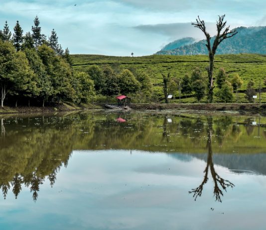 Pemandangan Kece di Telaga Saat Dijamin Bikin Kamu Makin Semangat Berlari