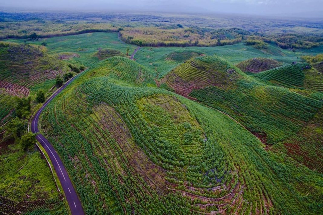 Wajib Dicoba! Sensasi Bersepeda di Gunungkidul dengan View Perbukitan