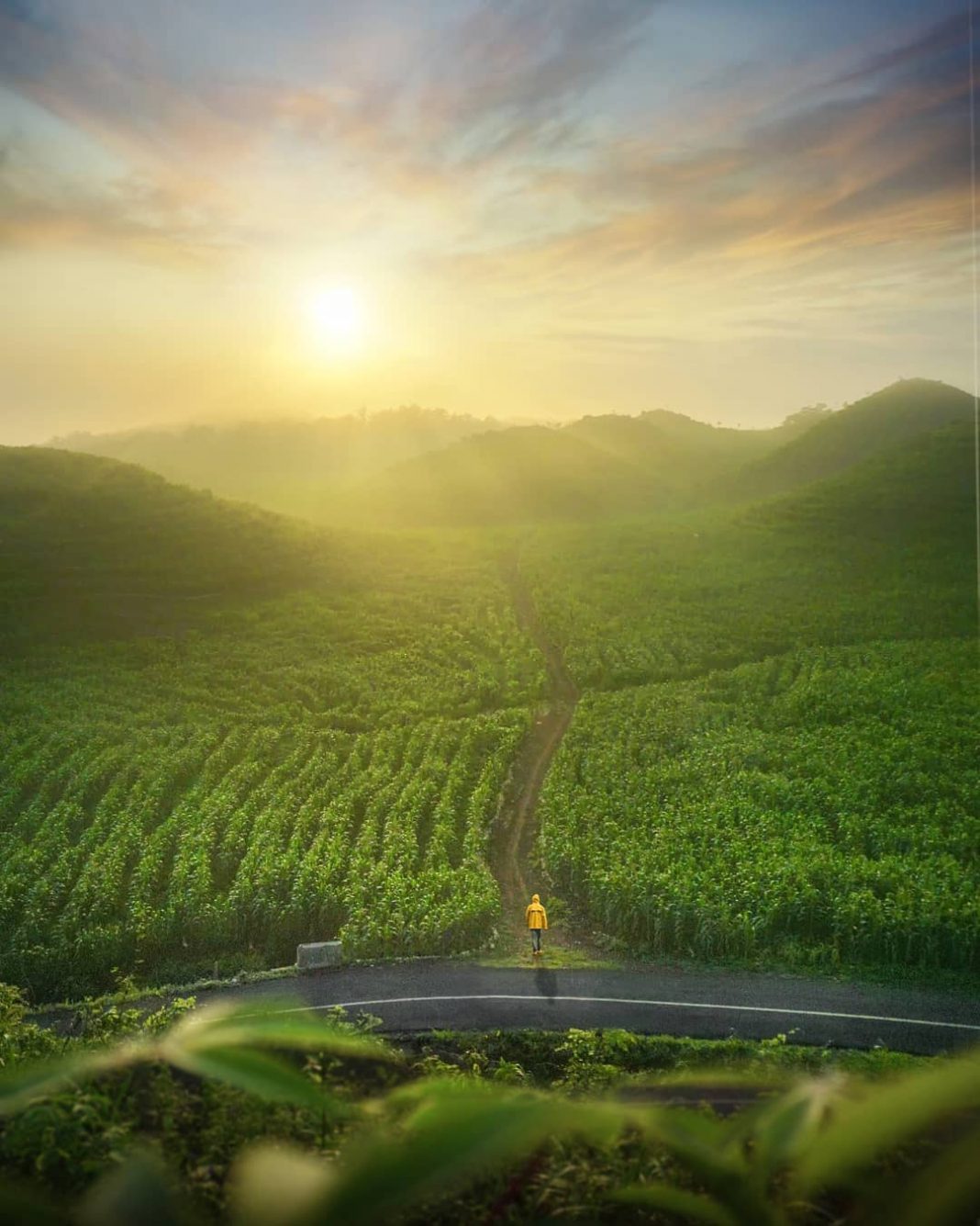 Wajib Dicoba! Sensasi Bersepeda di Gunungkidul dengan View Perbukitan