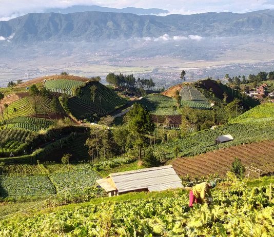 Bukit Kanaga, Spot Berkemah Favorit di Majalengka