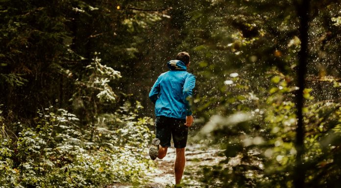 Akhir Pekan Ini, Yuk Jernihkan Pikiran dengan Jogging di Hutan Cifor
