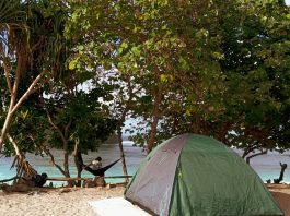 Pantai Teluk Asmara, Spot Camping Seru di Malang Selatan