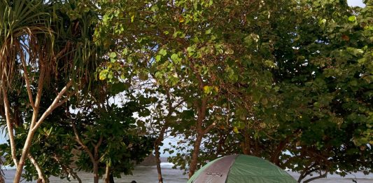 Pantai Teluk Asmara, Spot Camping Seru di Malang Selatan