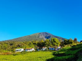 Mendaki Gunung Dempo, Apa Saja Syaratnya?