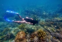 Menengok Pesona Bawah Laut Gili Labak, Madura