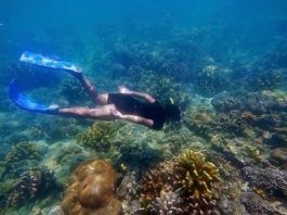 Menengok Pesona Bawah Laut Gili Labak, Madura