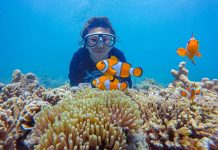 Snorkeling Bareng Nemo di Gili Ketapang