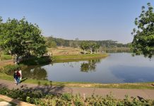 Trek Lari di Danau BSB, Tawarkan Teduhnya Pepohonan dan Pemandangan Indah