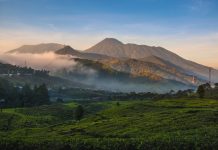 Gunung Gede Pangrango Dibuka Lagi, Pendaki Tak Wajib Tes Covid-19