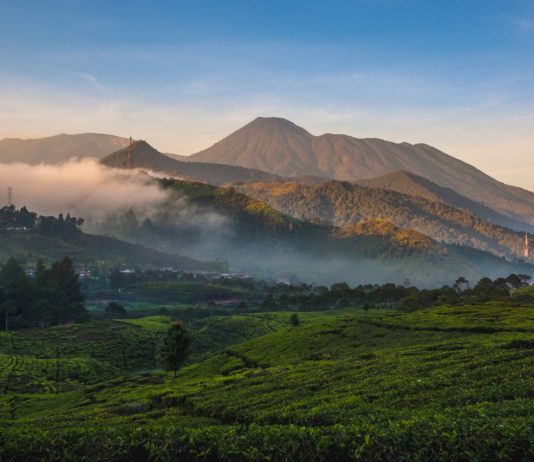 Gunung Gede Pangrango Dibuka Lagi, Pendaki Tak Wajib Tes Covid-19