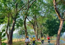 Utan Kemayoran, Opsi Lokasi Berolahraga di Jakarta Pusat