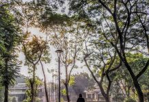 Berlari di Tengah Asrinya Taman Spathodea