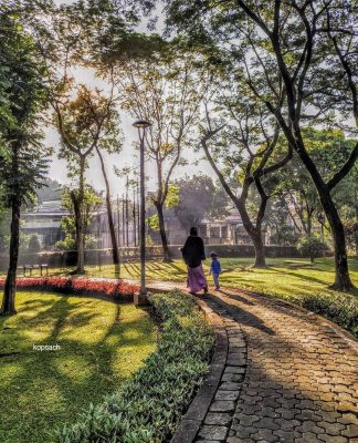Berlari di Tengah Asrinya Taman Spathodea
