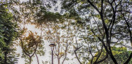 Berlari di Tengah Asrinya Taman Spathodea