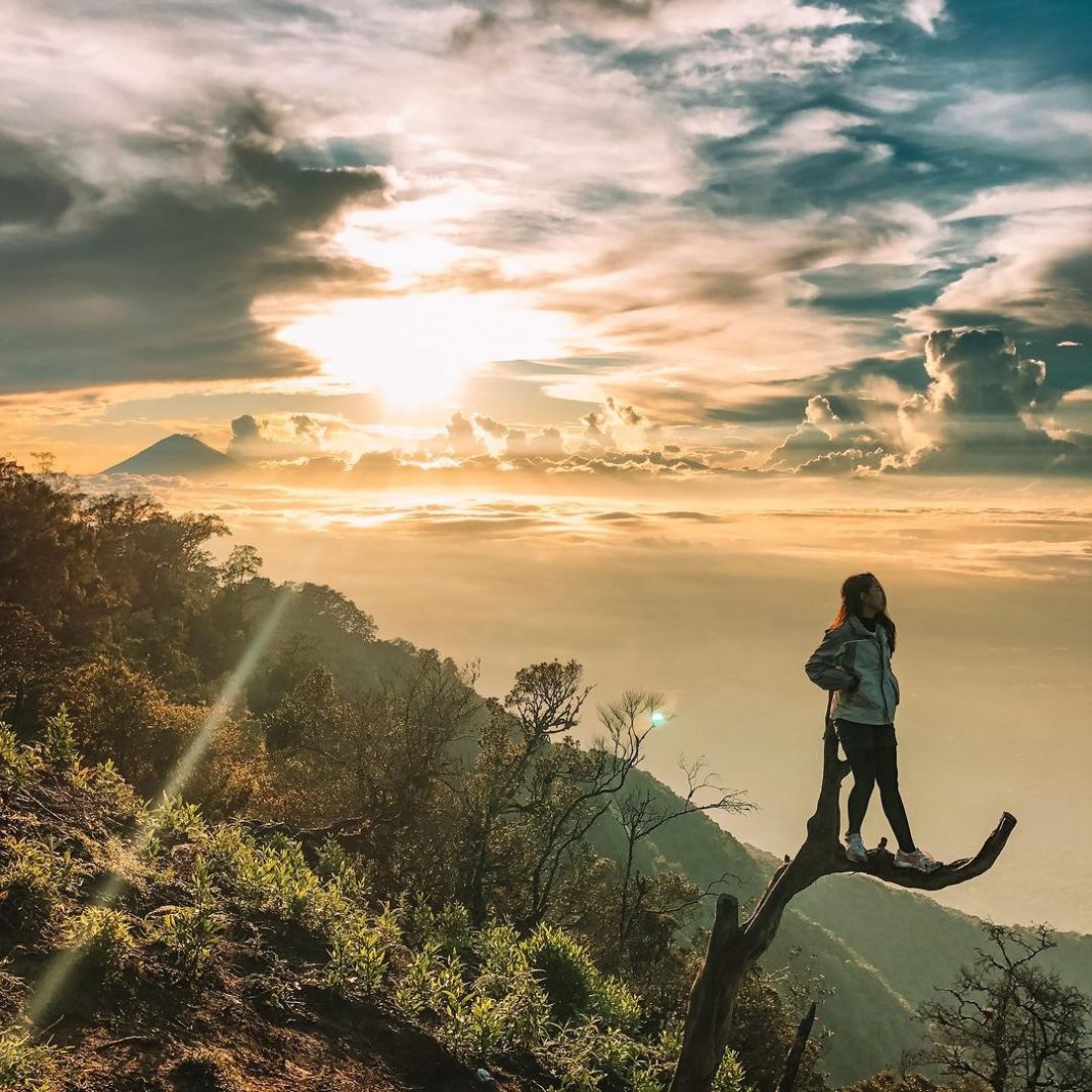 Mendaki Puncak Gunung Batukaru, Lewati Hutan Belantara - Where Your ...