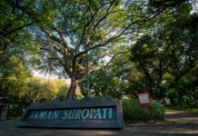 Taman Suropati, Suasana Asrinya Bikin Betah Berolahraga