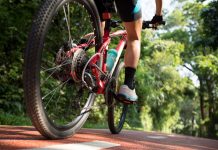 Menikmati Keasrian Kebun Raya Cibodas dari Atas Sepeda