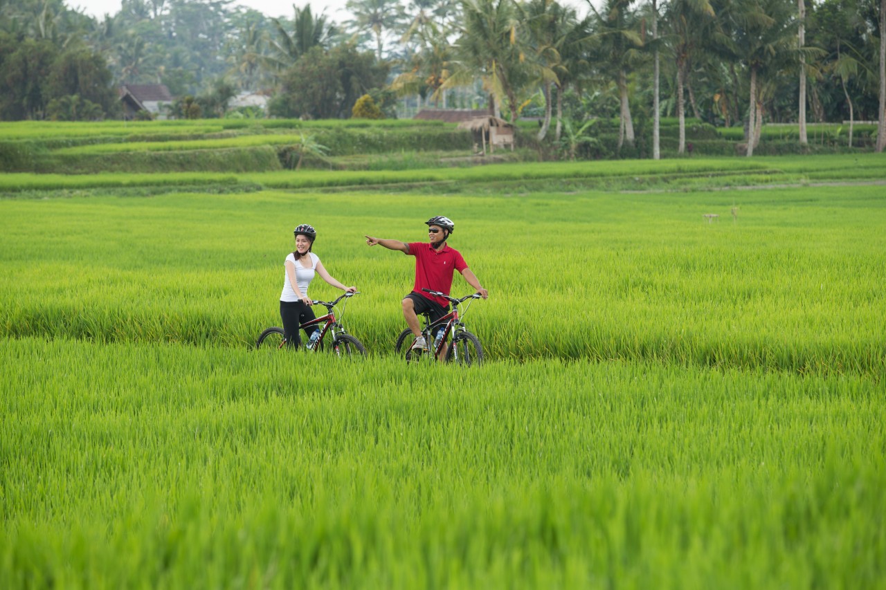 Bersepeda Menyusuri Desa Carangsari, Nikmati Alam dan Budaya yang Autentik  - Where Your Journey Begins