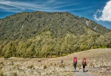 Wisata Gunung Bromo dan Pendakian Semeru Dibuka Lagi, Wajib Bawa Surat Keterangan Sehat