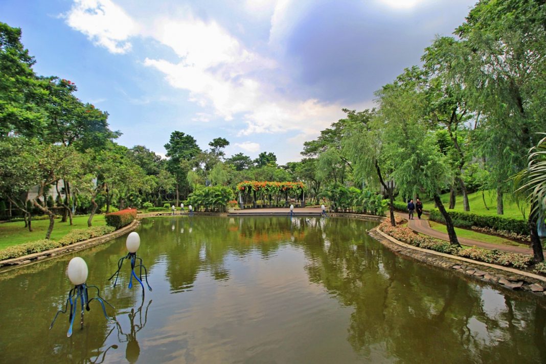 Berlari di Tengah Asrinya Taman Spathodea - Where Your Journey Begins