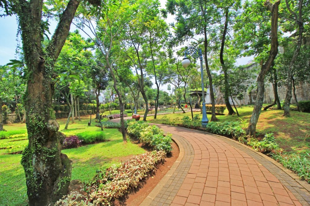 Berlari di Tengah Asrinya Taman Spathodea - Where Your Journey Begins