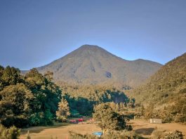 Camping Ceria di Mandalawangi Cibodas, Banyak Kegiatan Seru!