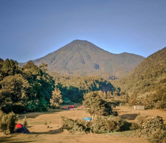 Camping Ceria di Mandalawangi Cibodas, Banyak Kegiatan Seru!