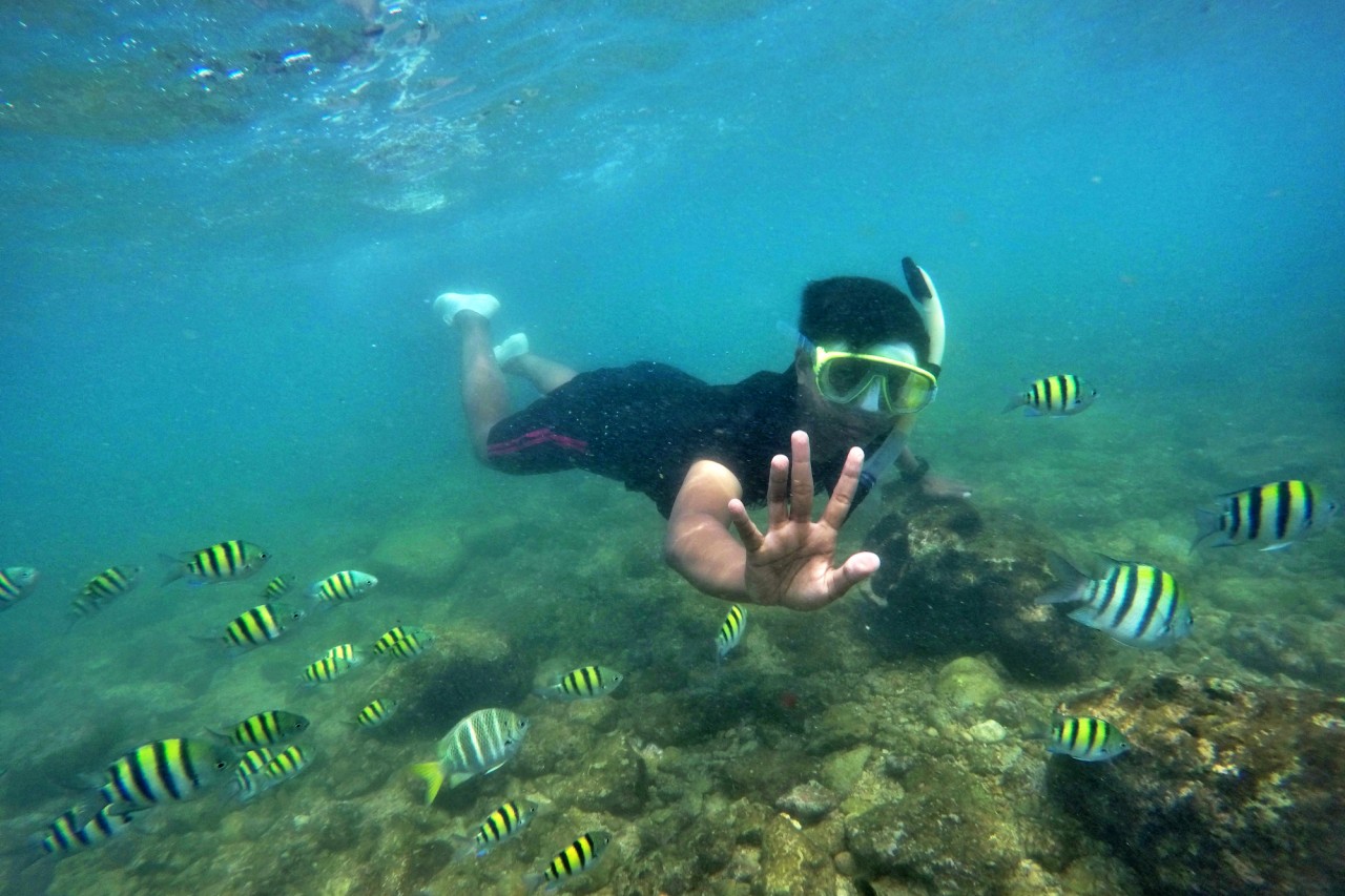 Aruba bob snorkeling