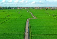Menelusuri Trek Joging di Subak Prapat Beris, Denpasar