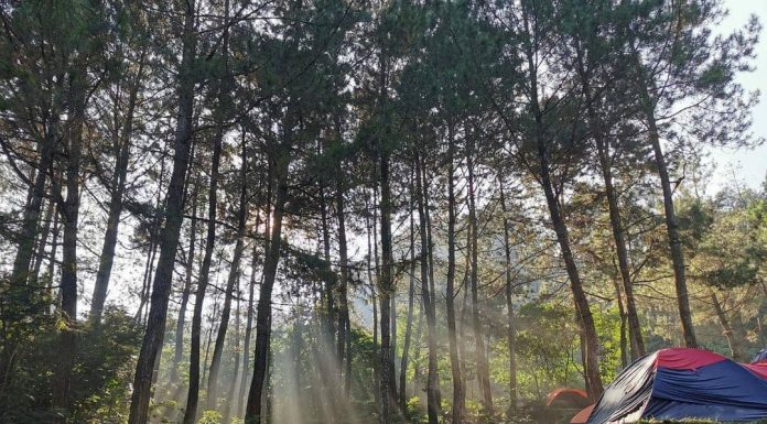 Highland Camp Curug Panjang, Tempat Camping Seru Dekat Air Terjun