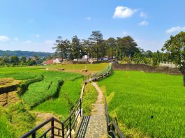 Sejuk dan Asri, Hutan Kota Bungkirit Cocok untuk Lokasi Joging
