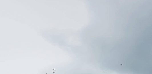 Cara Seru Menikmati Keindahan Waduk Sempor, Bersepeda hingga Berkano!