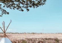 Padi Padi, Destinasi Piknik Seru di Tengah Sawah