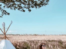 Padi Padi, Destinasi Piknik Seru di Tengah Sawah