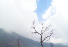 Menikmati Indahnya Kawah Putih dari Puncak Gunung Patuha