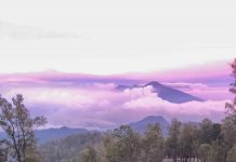 Gunung Butak Suguhkan Indahnya Hamparan Sabana dan Bunga Edelweiss