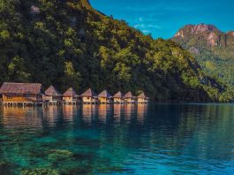 Serunya Snorkeling di Pulau Seram, Perairan Jernih dan Banyak Biota Laut