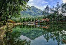 Jenuh di Tempat Kerja? Yuk Refreshing sambil Joging Mengitari Telaga Bedakah!