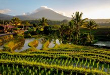 Mengenal Sistem Irigasi Tradisional Bali di Museum Subak