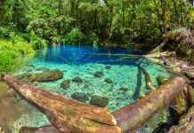 Danau Kaco, Danau Superbening yang Bisa buat Snorkeling