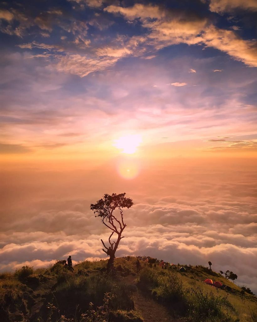 Pendakian Gunung Sumbing Via Mangli, Suguhkan Pemandangan Indah ...