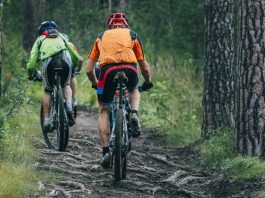 Mengenal Elevation Gain, Jumlah Tanjakan yang Dilalui Saat Beraktivitas