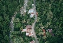 Back to Nature, Coba Susur Hutan di Kubu Perahu Yuk!