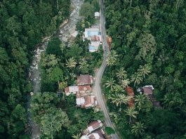 Back to Nature, Coba Susur Hutan di Kubu Perahu Yuk!