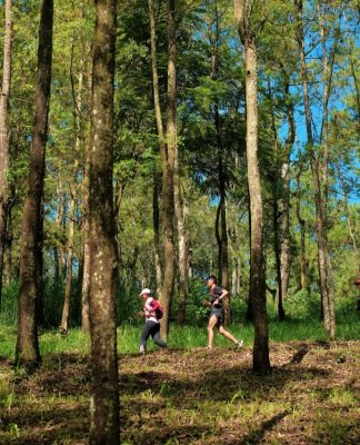 Ikuti Keseruan Bertualang di Alam Bebas dalam Green Rock Festival